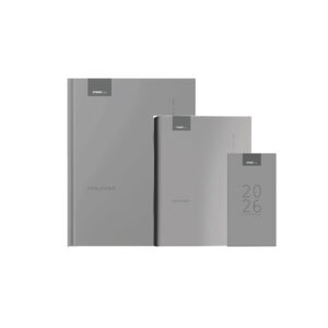 Kolekcija VIZIJA siva